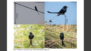 Screenshot from 2015-03-03 16:06:33