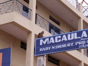 macaulays_child_closeup