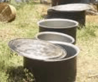 பெரியாரின் பேரண்டாக்கள்!